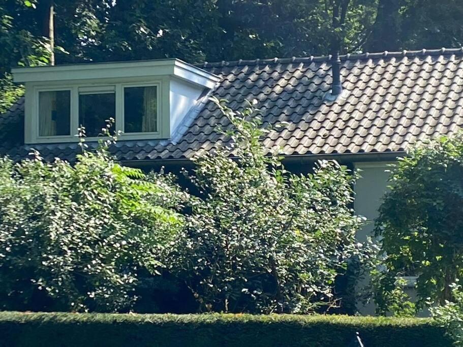 Duinhoek: Luxe studio, prachtig en rustig gelegen Zeist Buitenkant foto
